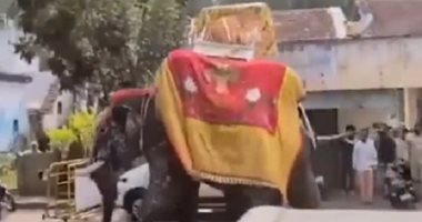 فيل يثير ذعر المارة خلال ذكرى مقتل الشيطان ماهيساسورا بالهند