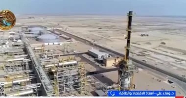 أستاذة اقتصاد: اضطرابات الإمدادات تعيد رسم خريطة أسواق الطاقة العالمية