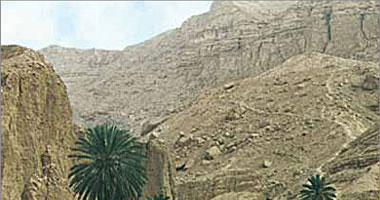 وزارة الزراعة تطلق حزمة أنشطة تنموية لدعم صغار المزارعين والمربين فى مطروح