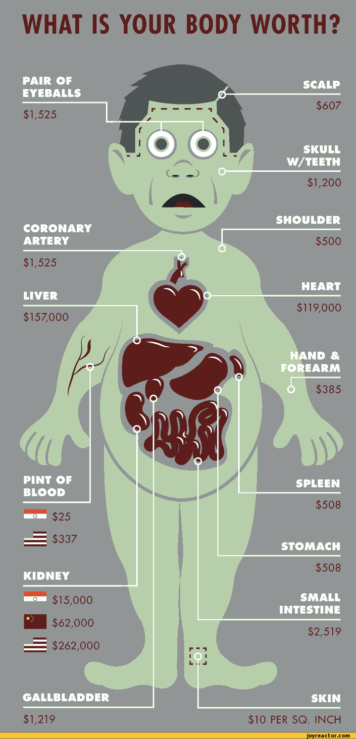 Animaniacs / arthur / dexter's laboratory / the flinstones / rugrats / rocko's modern life / the road to el dorado / the simpsons / spiderman / spongebob. gafcomics :: organs :: comics (funny comics & strips, cartoons) / funny pictures & best jokes