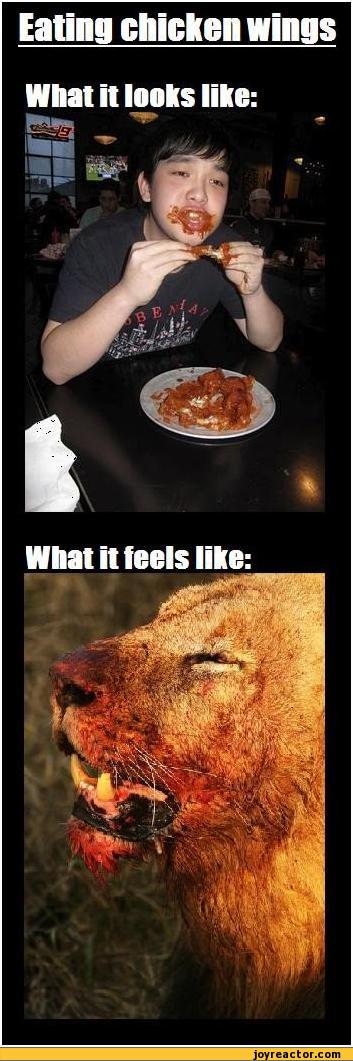 You can create an animated gif of your powerpoint presentation and share it with the world. Eating chicken wings / Funny pictures / funny pictures & best jokes: comics, images, video