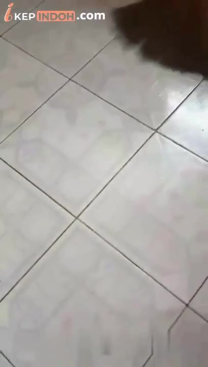 Bokep Indo Kurir Cod Dildo Di Suruh Review Ke Memeknya Langsung Bokepindoh