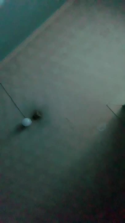 Netek Dan Jilmek Pacar Cantik Di Kosan Kimcilonly Urbaby