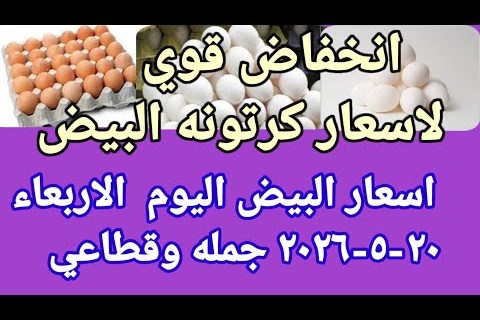 أسعار البيض في مصر اليوم الأربعاء 20 مايو 2026: تفاصيل التغيرات الجديدة في السوق