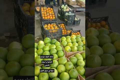 تراجع أسعار اليوسفي في سوق العبور اليوم مع ثبات أسعار الفاكهة وأبرز تغيرات السلع الغذائية