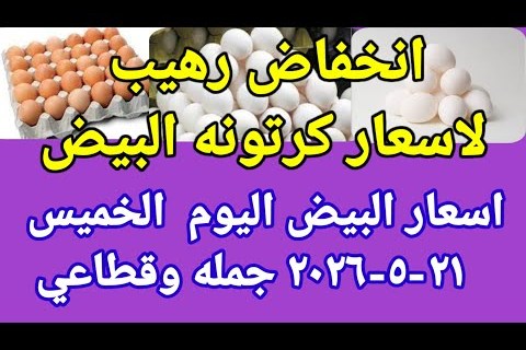 أسعار الدواجن والبيض اليوم الخميس: تحديثات حصرية وهامة يحتاجها الجميع