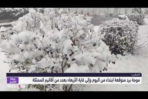 موجة البرد في شمال المملكة: تحليل تأثير الصقيع على المدن والبيئة