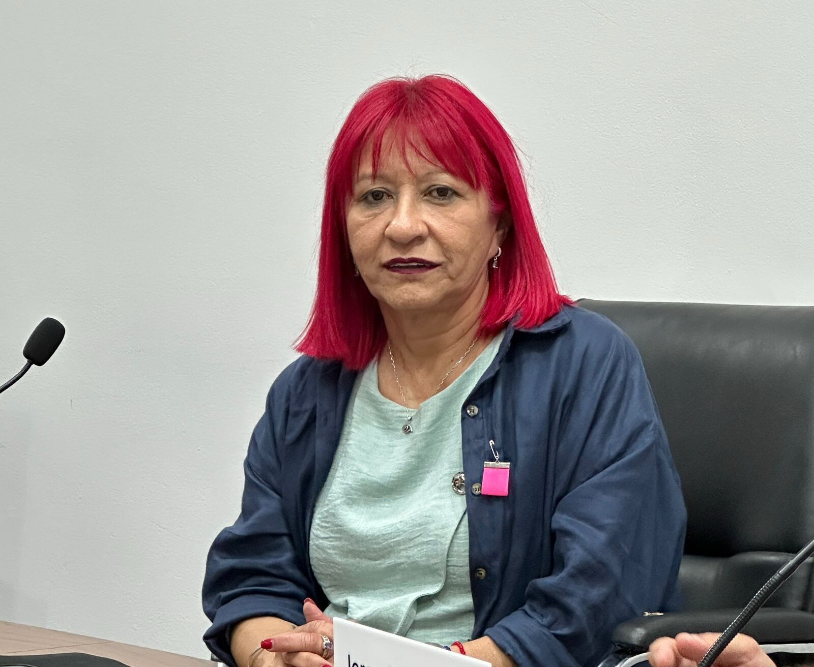 viole.jpeg viole.jpeg