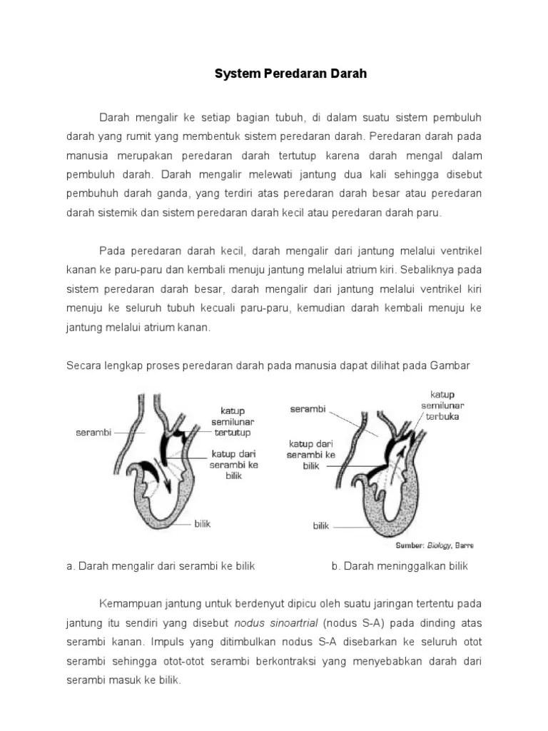 System Peredaran Darah | PDF