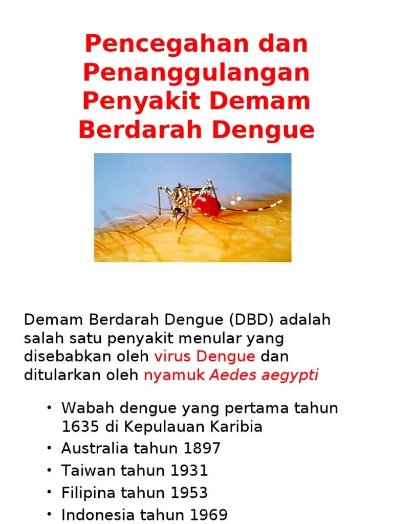 Penyuluhan DBD | PDF