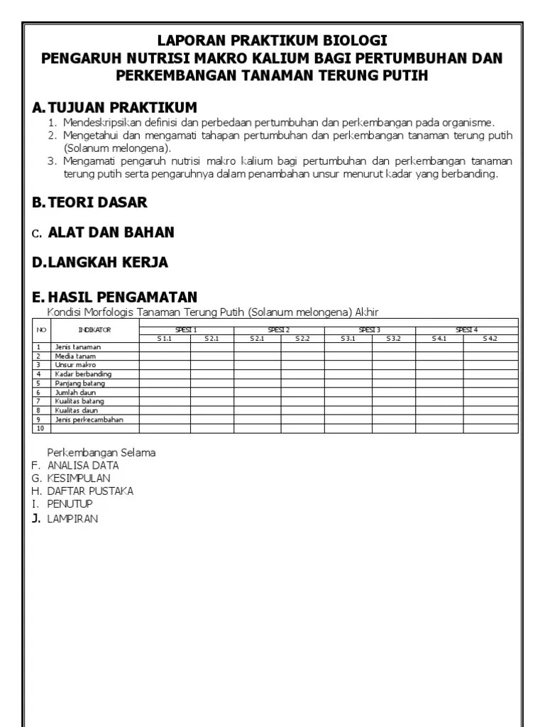 Contoh Laporan Enzim Katalase