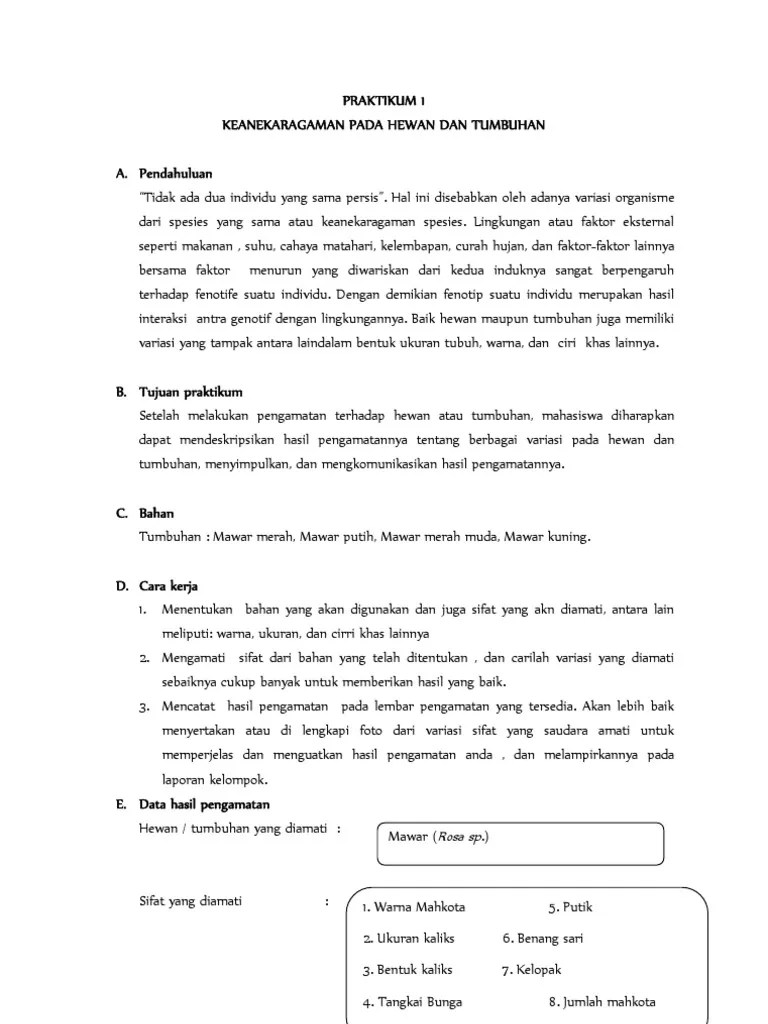 Laporan GENETIKA | PDF