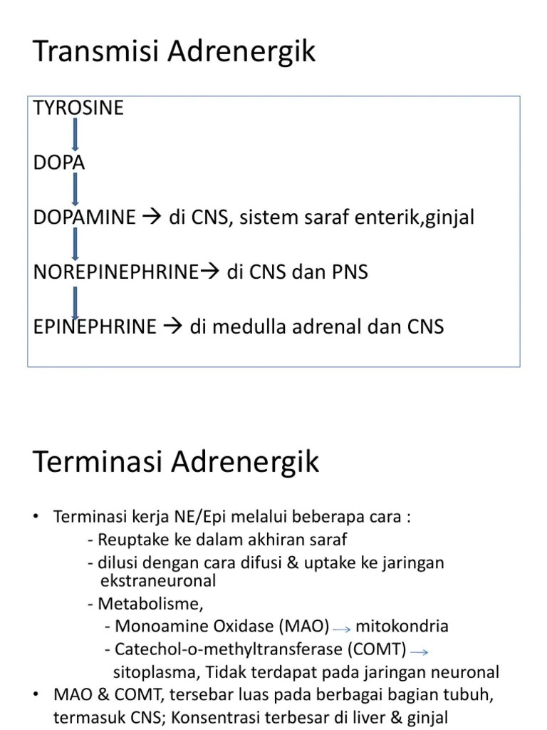 Adrenergik Jadi | PDF