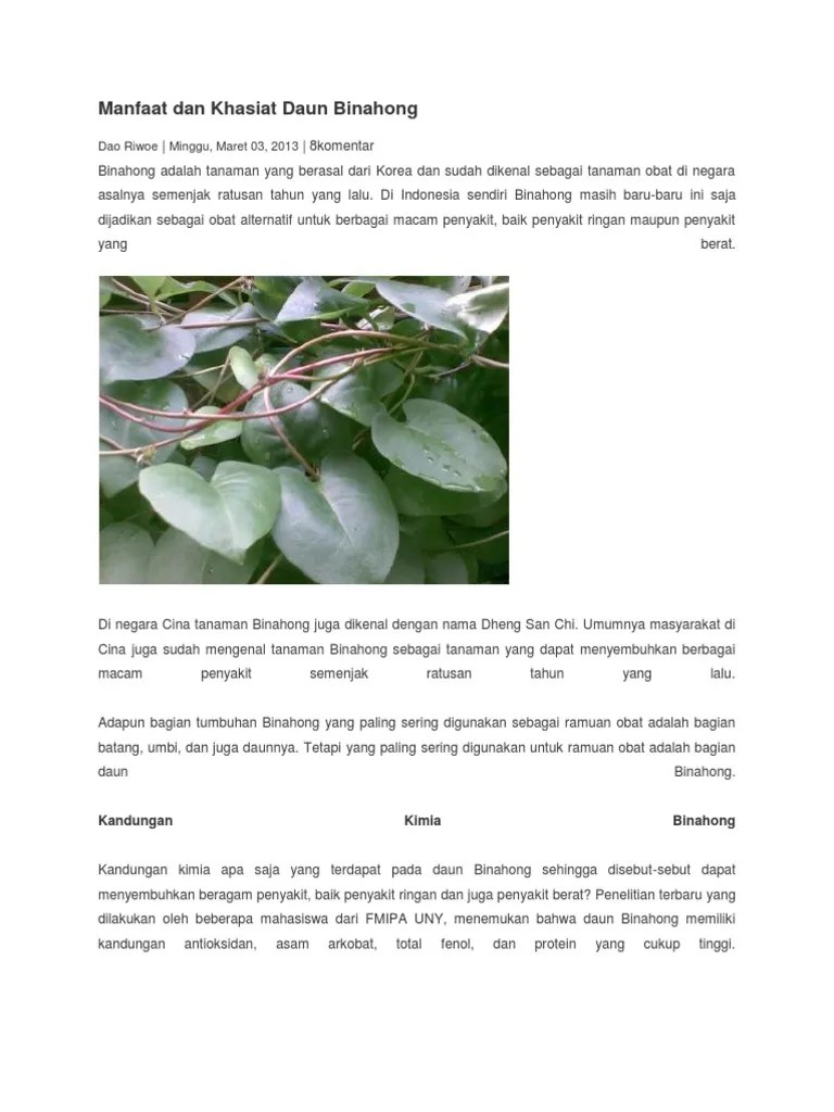 Penelitian ini bertujuan untuk melihat potensi antibakteri daun binahongdalam menghambat pertumbuhan bakteri penyebab jerawat (propionibacteriumacnes). Manfaat Dan Khasiat Daun Binahong Pdf