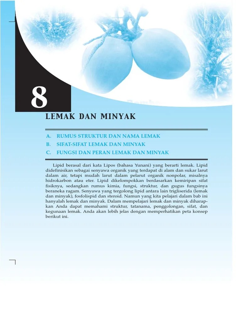 Bab 8 Lemak | PDF