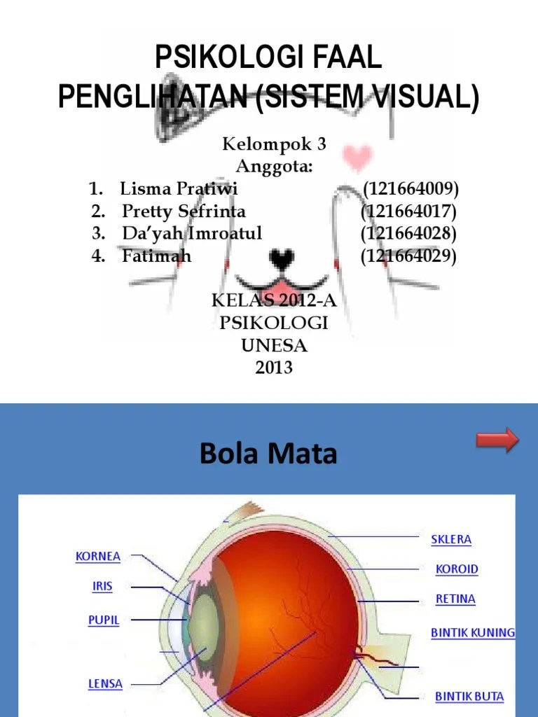 Psikologi Faal-Sistem Visual | PDF