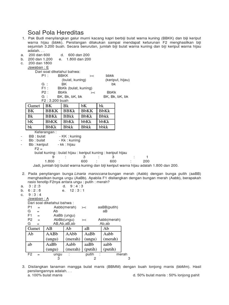 Pada kesempatan ini admin menyempatkan untuk membuat postingan. Kumpulan Contoh Soal Pola Hereditas Dan Pembahasannya Terupdate Dikdasmen