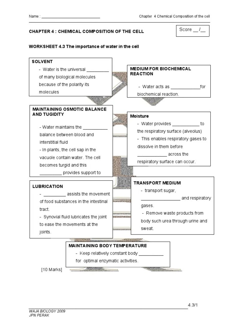 worksheet 43 the importance of water in the cells