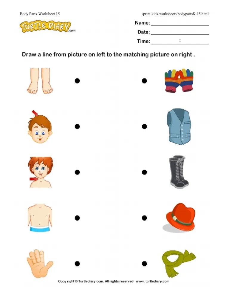 body parts worksheet 15 turtlediary