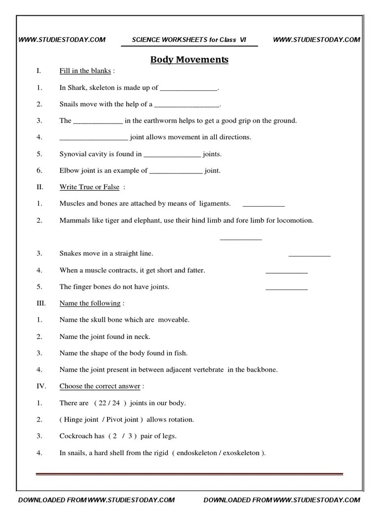 Provide a better understanding of the impact of the. CBSE Class 6 Worksheet - Body Movements