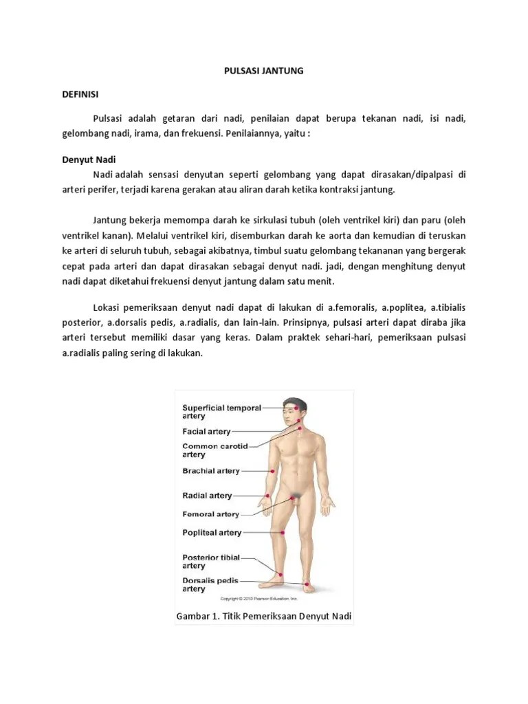 Pulsasi Jantung | PDF