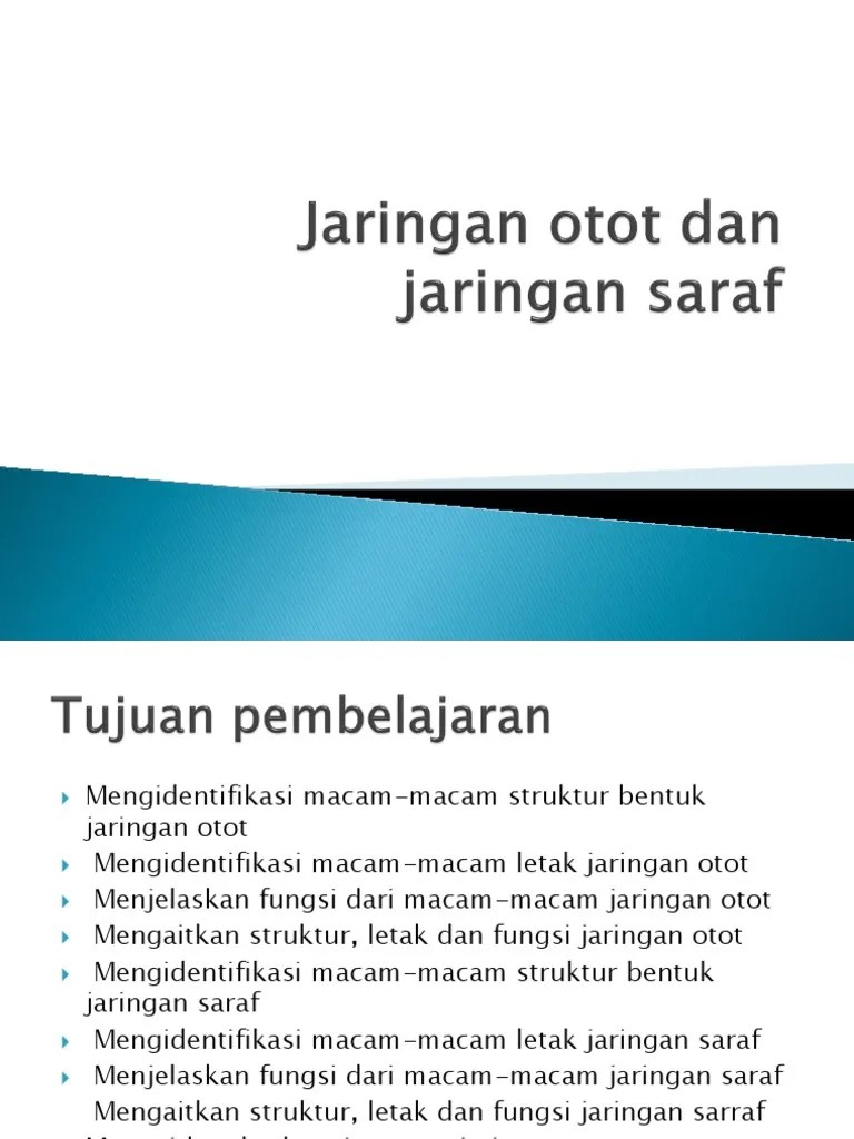 Jaringan Otot Dan Jaringan Saraf | PDF