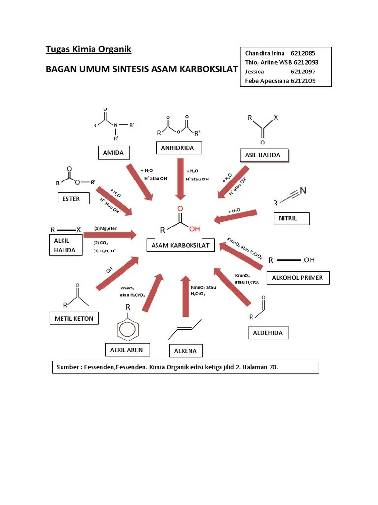 Asam Karboksilat Dan Turunannya Serta Protein | PDF