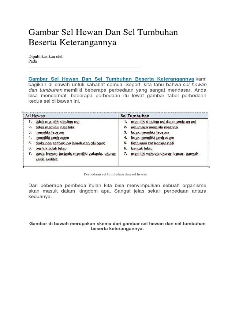 Gambar Sel Hewan Dan Sel Tumbuhan Beserta Keterangannya | PDF