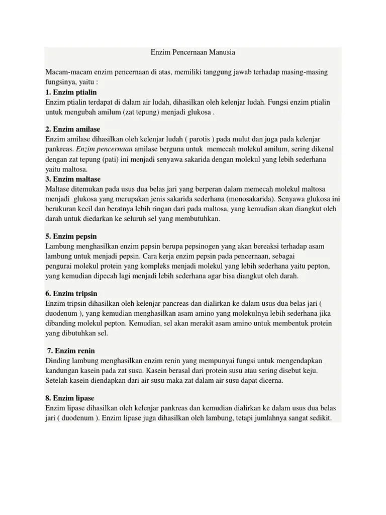 Enzim Pencernaan Manusia | PDF