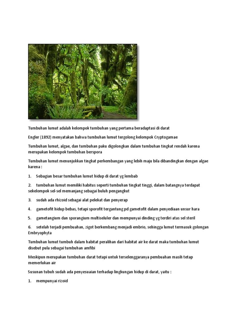 Tumbuhan Lumut Adalah Kelompok Tumbuhan Yang Pertama Beradaptasi Di Darat |  PDF