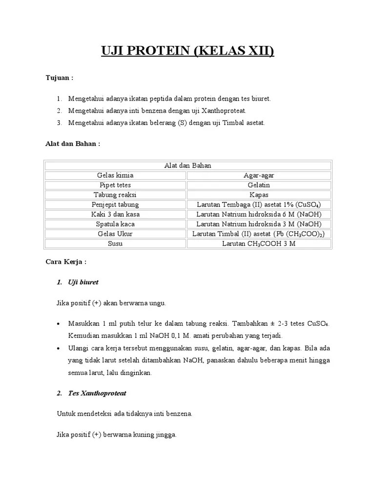 Praktikum Kimia UJI PROTEIN | PDF