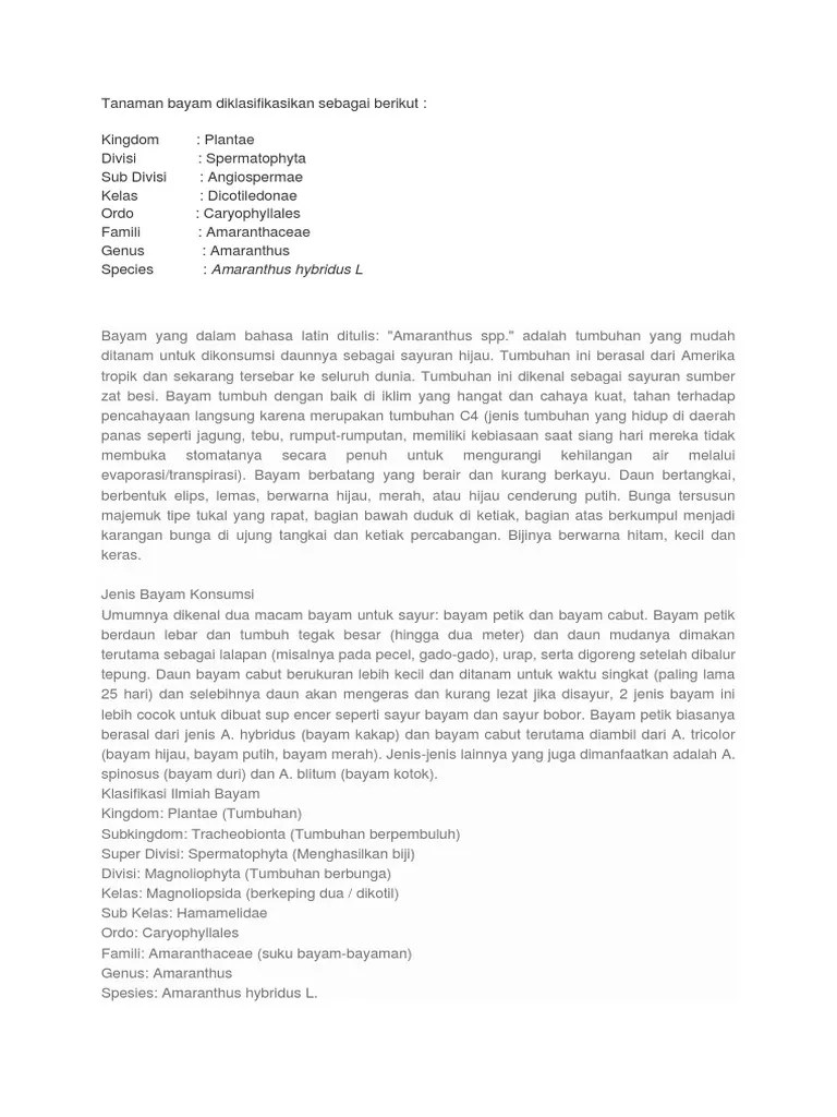 Deskripsi Bayam | PDF