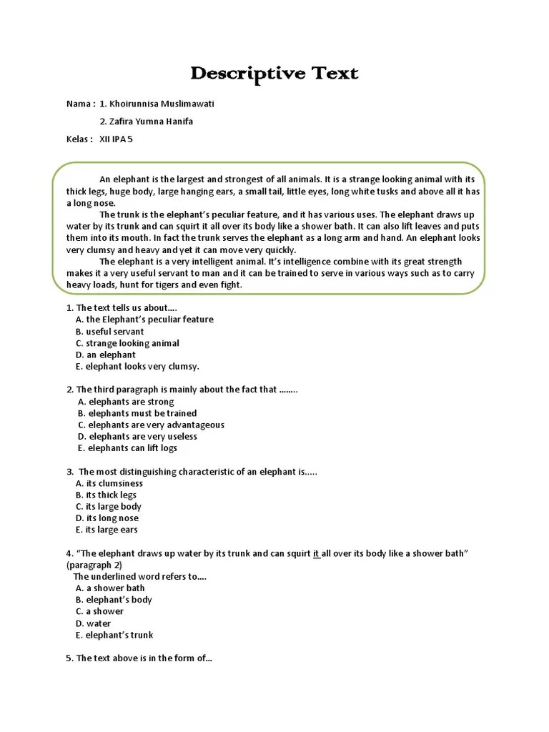Most support dei, but don't know how to implement it. Descriptive Text Elephant Mangrove