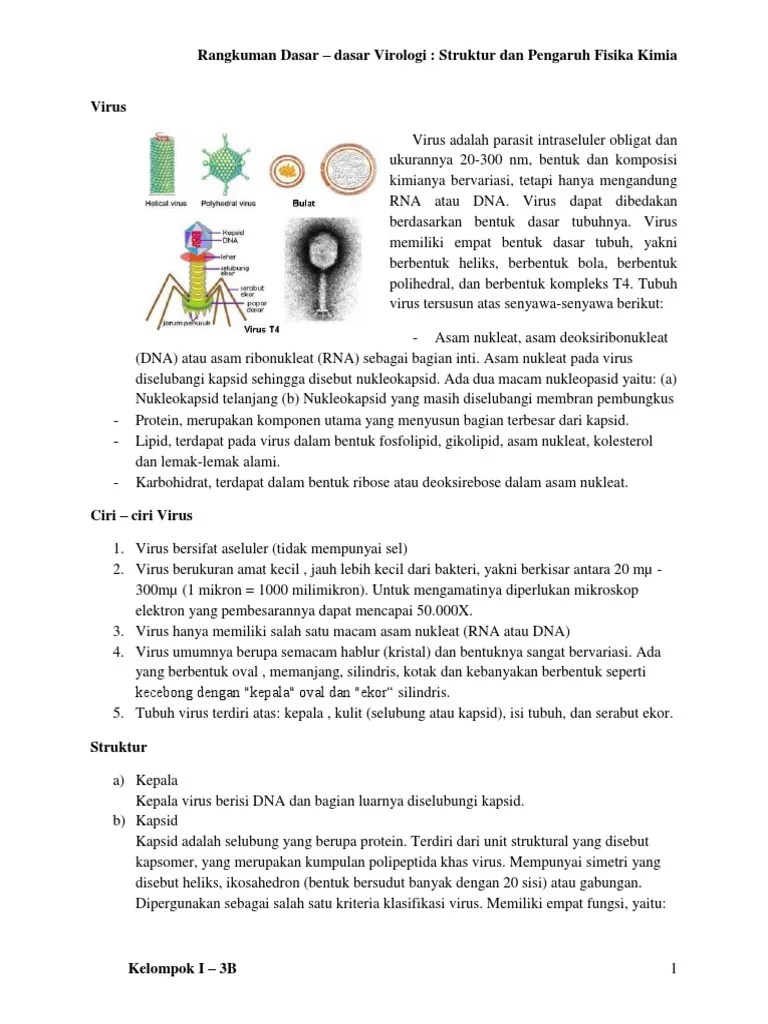 Rangkuman Dasar Virologi | PDF