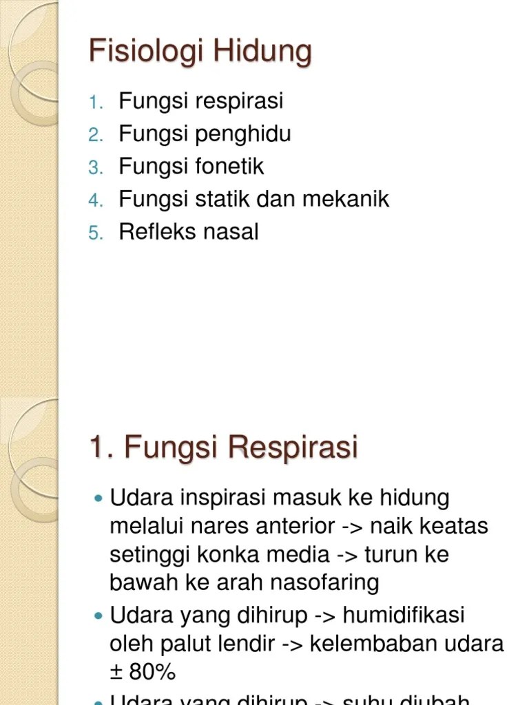 Fisiologi Hidung | PDF