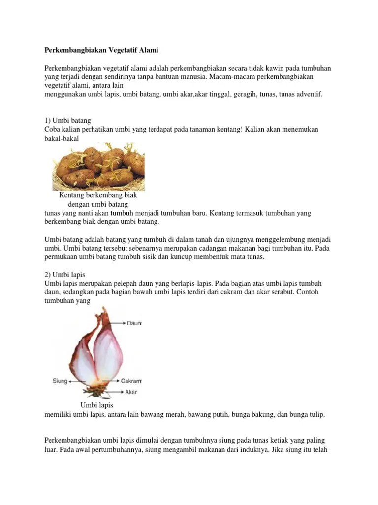 Perkembangbiakan Vegetatif Alami | PDF