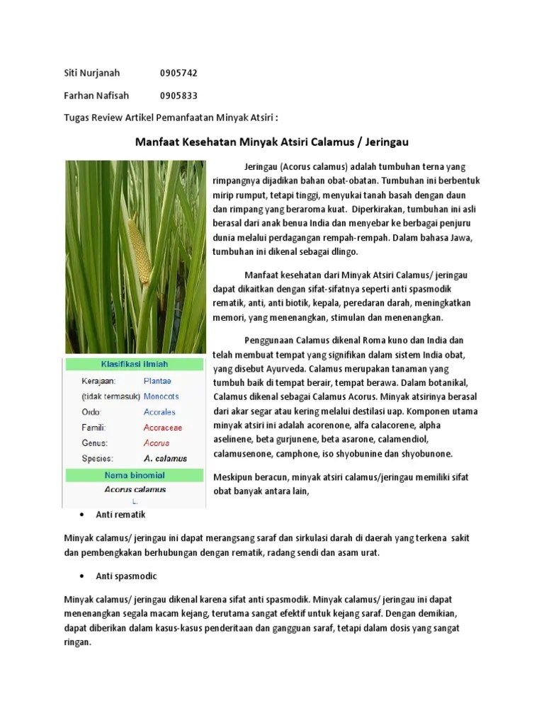 Manfaat Minyak Atsiri Calamus | PDF