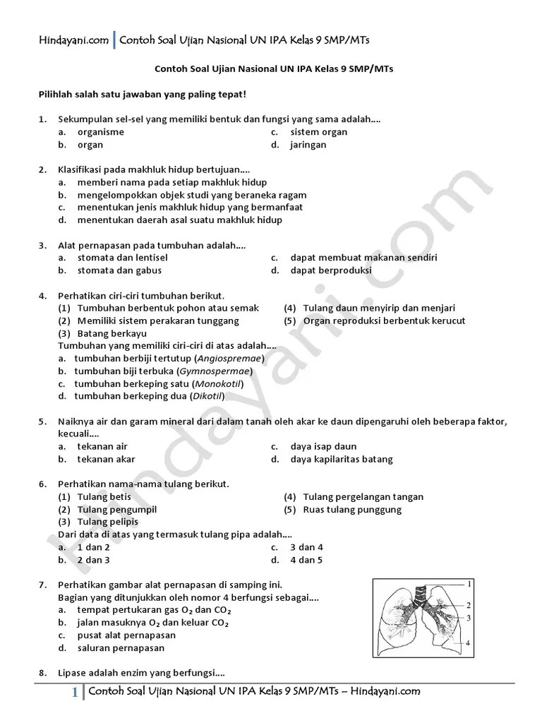 Ada bank latihan soal kumpulan contoh soal un ipa smp dan pembahasannya kunci jawaban try out kelas 9 yuk download pdf nya. Contoh Soal Ujian Nasional Un Ipa Kelas 9 Smp Mts Pdf