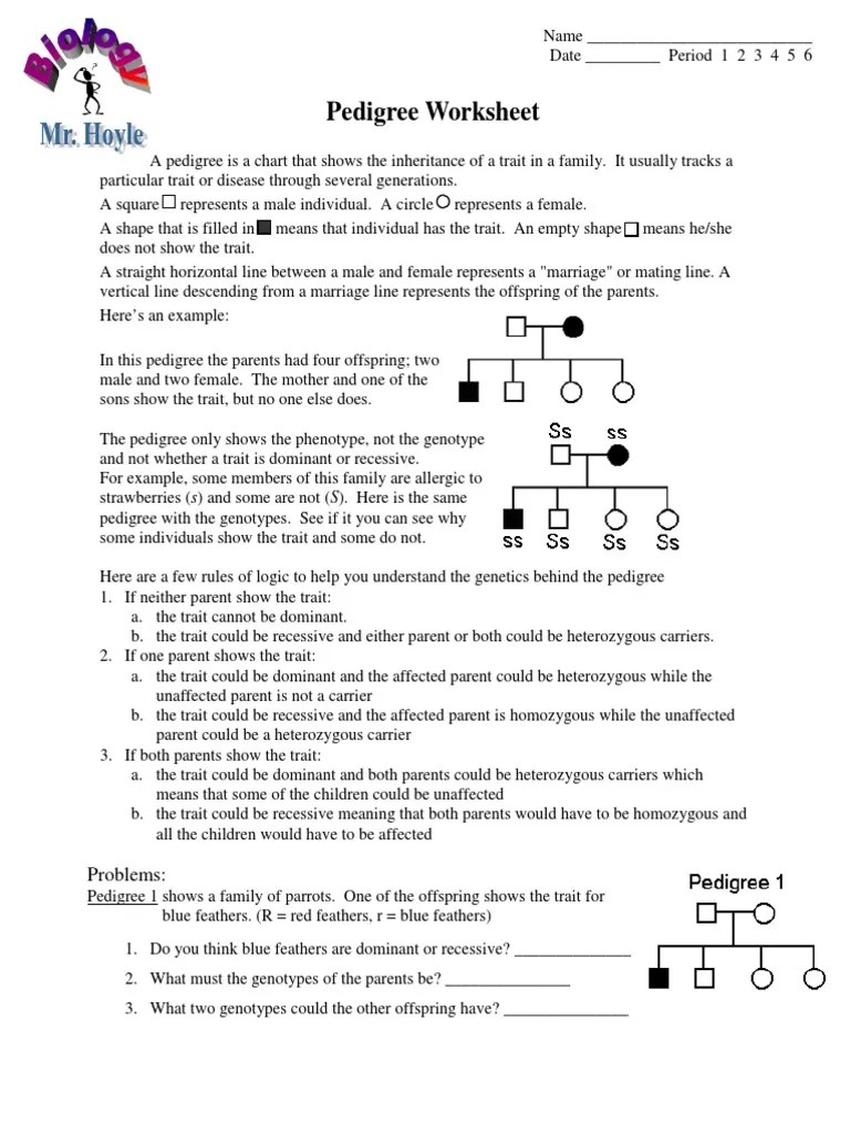 Once you have a background in pedigree conventions, this video should provide you with the tools to evaluate a pedigree to determine if a . Pedigree Worksheet Pdf Dominance Genetics Genotype