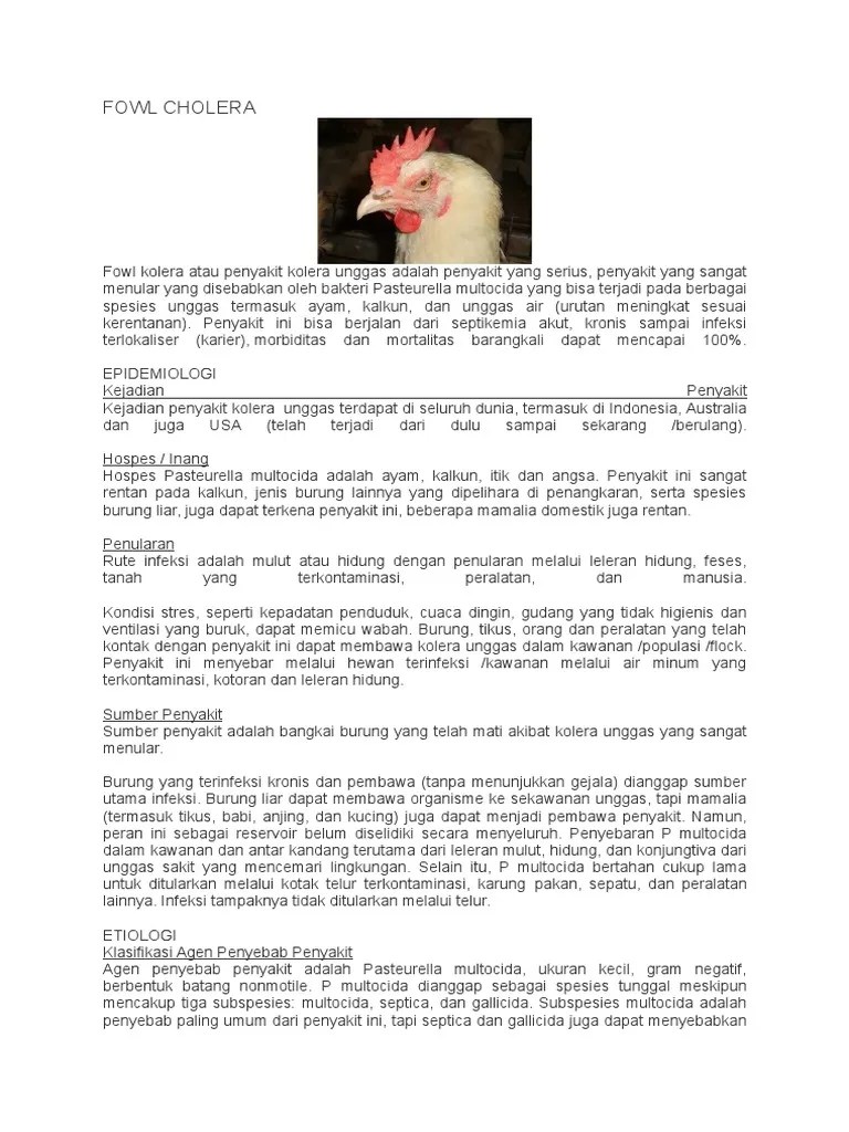 Fowl Cholera | PDF