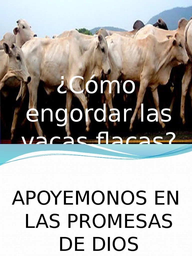 Vacas flacas pdf libr es uno de los libros de ccc revisados aquí. Cómo Engordar Las Vacas Flacas | Creencia religiosa y ...