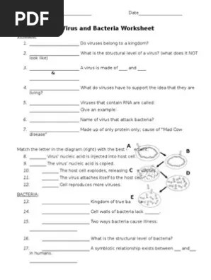 Worksheets comparing viruses worksheet answer key viruses bacteria . Virus And Bacteria Worksheet Pdf