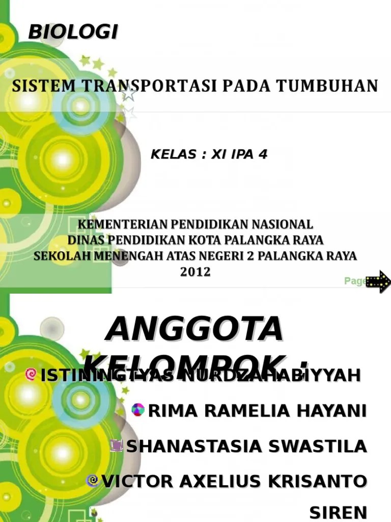 Transportasi Pada Tumbuhan XI IPA 4 | PDF