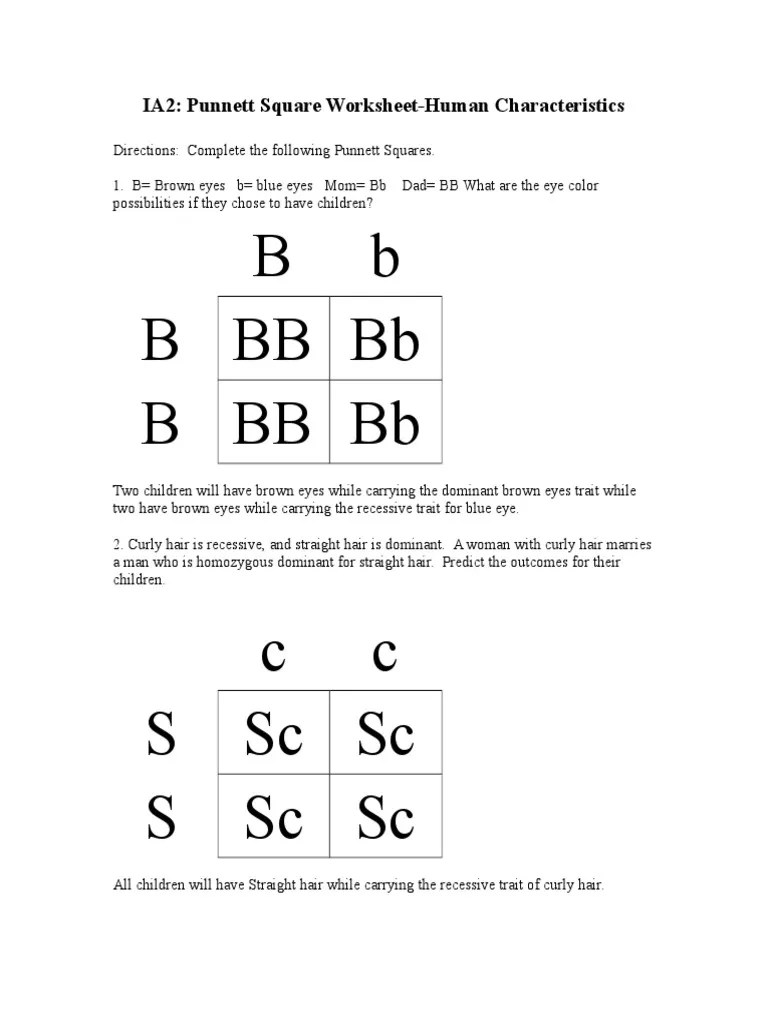Be sure that you include the ratios. Punnett Genetics Problems 1 Pdf Dominance Genetics Genetics