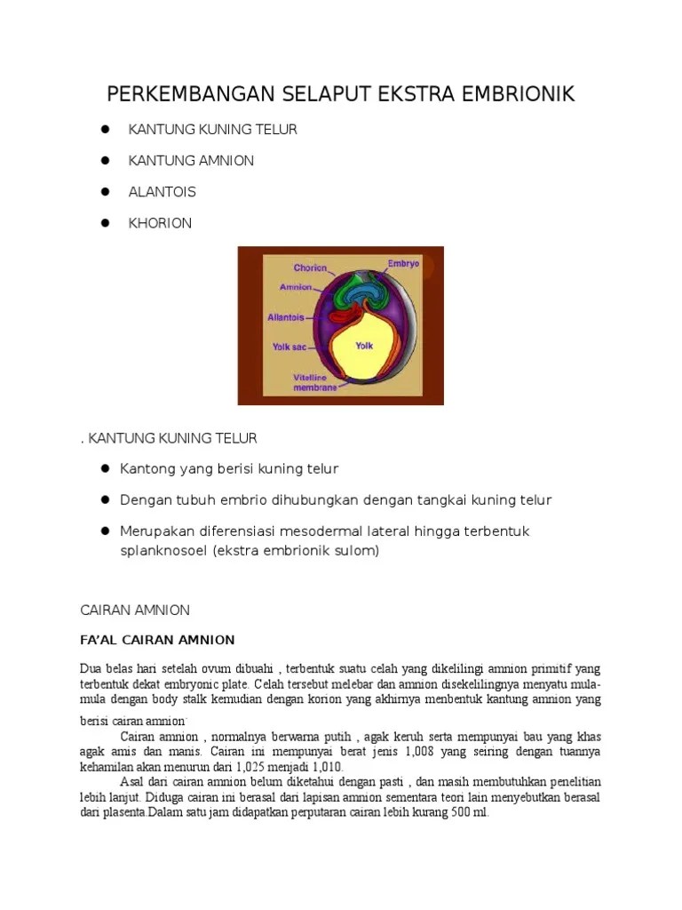 Cairan Amnion