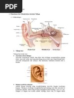 Skenario 2 OMA | PDF