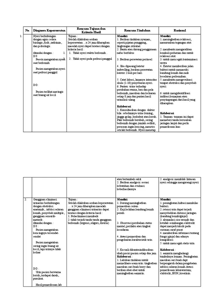 Tugas mata kuliah keperawatan anak (asuhan keperawatan isk pada anak) akper ngawi 2011 by yonafna. Askep Isk Pdf