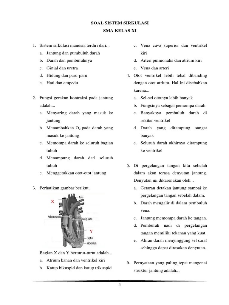 Paling Bagus 16+ Gambar Vena Tangan - Gani Gambar
