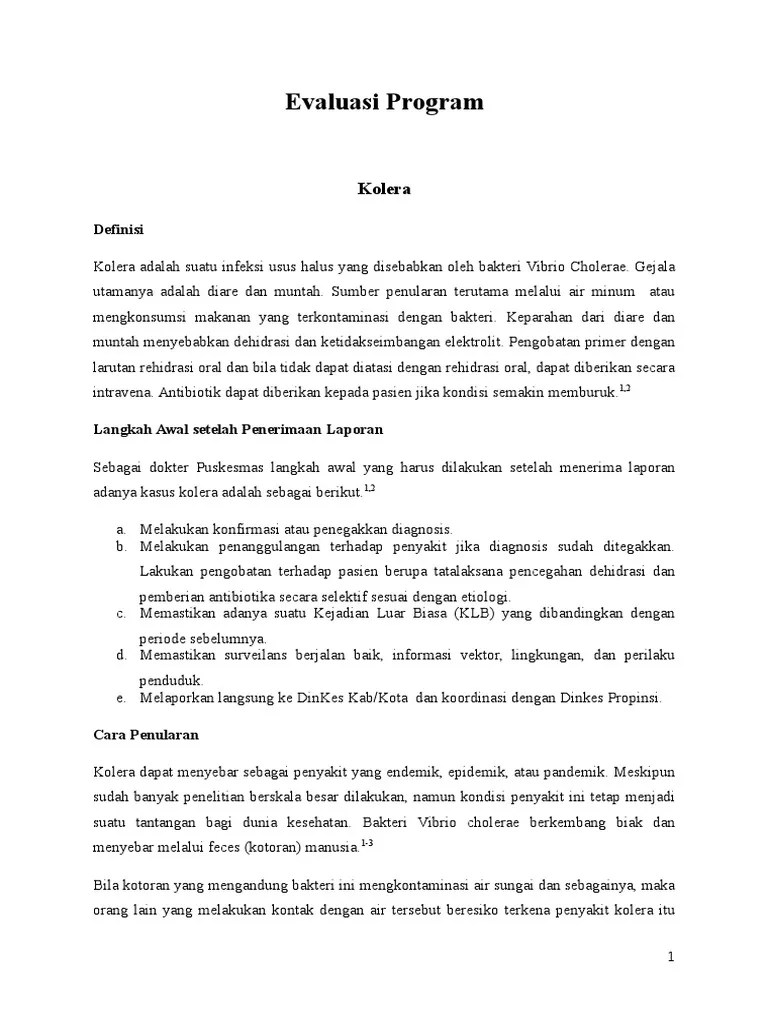 IKM Evaluasi Program | PDF