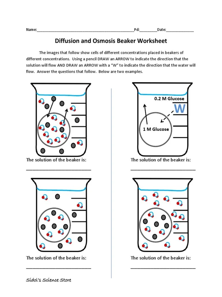 Is the highest concentration of molecules inside or outside of the cell? Osmosis And Diffusion Worksheet Pdf Osmosis Molecular Biology